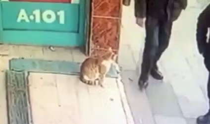 Ky quac con meo chi tan cong dan ong, tha cho phu nu