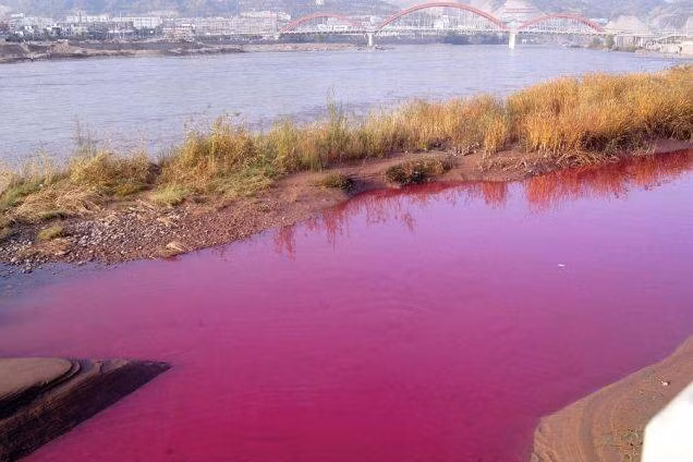 Sông Hoàng Hà ở Lan Châu, Trung Quốc. Đây là một trong những dòng sông còn được lưu giữ trong tình trạng nguyên sơ nhất của Trung Quốc. Dòng sông có màu nước tím đỏ như trong hình là do phù sa.