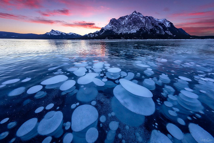 Bong bóng mêtan đông lạnh, là loại bong bóng khí mê-tan phát ra bởi các cây mục nát đang bị kẹt ngay dưới bề mặt của hồ khi nó bắt đầu đóng băng.