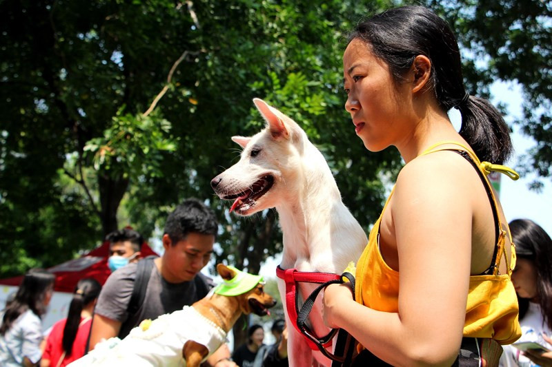 Tại đây còn có các màn biểu diễn tuân theo hiệu lệnh chủ.