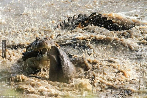 Cả hai lao vào tử chiến ồn ào cả đoạn sông.
