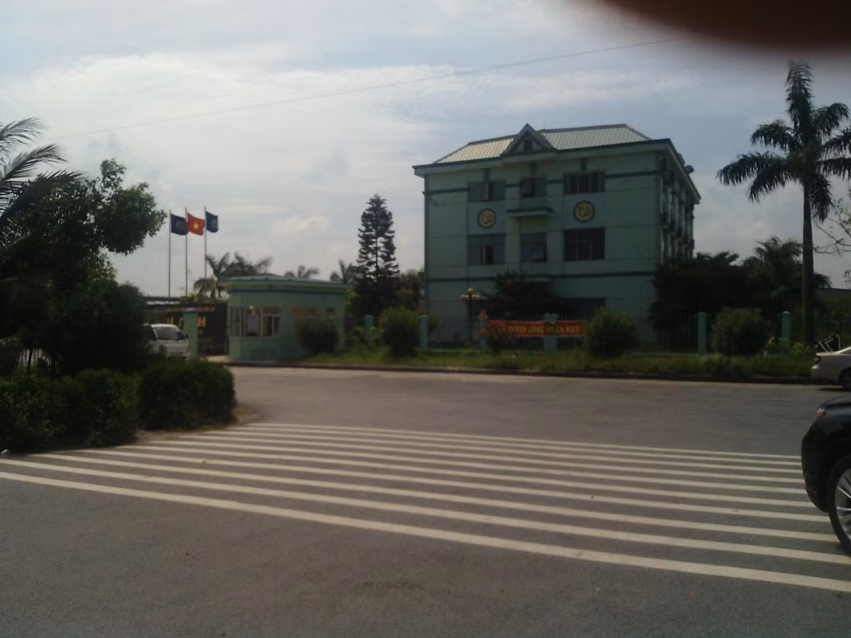 Mot phu nu bi cho can chet tai Hai Phong?