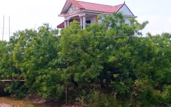 Co gai dep chet tren song Tra Ly: Lo su that kinh hoang-Hinh-3