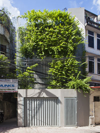 Không chỉ đơn thuần sử dụng các vật liệu để thiết kế lam chống nắng, các kiến trúc sư còn tạo thêm cảnh quan cho hệ lam bên ngoài ngôi nhà bằng những giàn dây leo, cây xanh mướt mắt.