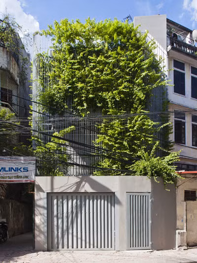 Không chỉ đơn thuần sử dụng các vật liệu để thiết kế lam chống nắng, các kiến trúc sư còn tạo thêm cảnh quan cho hệ lam bên ngoài ngôi nhà bằng những giàn dây leo, cây xanh mướt mắt.