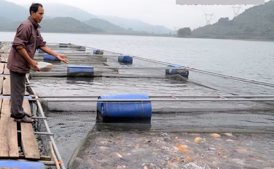 Không nằm ngoài những điều kiện phù hợp, Cẩm Thịnh (thuộc Cẩm Xuyên, Hà Tĩnh) rất thuận lợi về giao thông. Tuy là vùng bán sơn địa, song cũng thuận tiện cho việc vận chuyển thuyền bè 4-5 tấn, chở hàng phục vụ người dân ở hai bên sông.