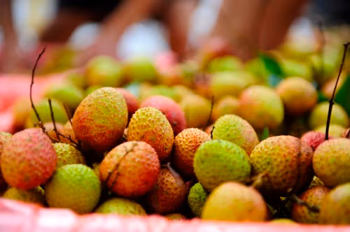 Một loại vải khác được bán nhiều trên thị trường từ cuối tháng 5 vừa rồi có giá rất rẻ, từ 12.000 - 15.000 đồng/kg là vải tu hú, hay còn gọi là vải chua.