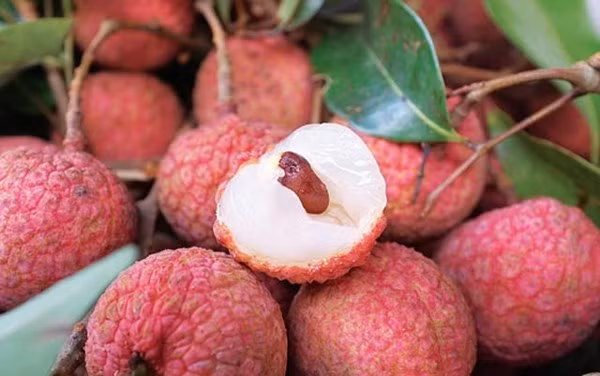 Một giống vải ngon khác được ưa chuộng là vải Thanh Hà. Theo những người trồng vải lâu năm, quả vải thiều Thanh Hà chính gốc nhỏ, tròn hơn các giống vải khác, vỏ quả màu hồng nhạt.