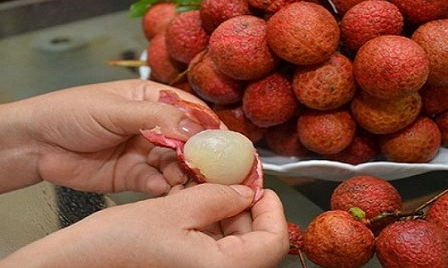 Khi muốn chọn vải thiều ngon, người mua nên sờ hoặc nhìn phần gai vỏ của vải Thanh Hà bao giờ cũng lỳ hơn quả vải trồng ở nơi khác. Nhìn cả chùm quả, cuống quả vải Thanh Hà đều mà mềm hơn.