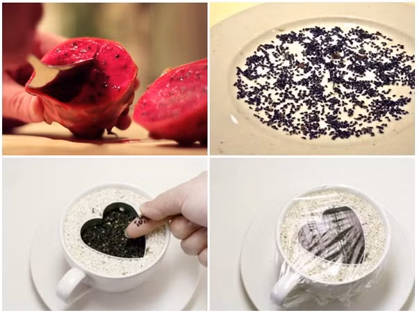 Trong cay canh trong nha tu hat bo di cuc de-Hinh-10