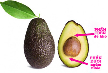 Trong cay canh trong nha tu hat bo di cuc de