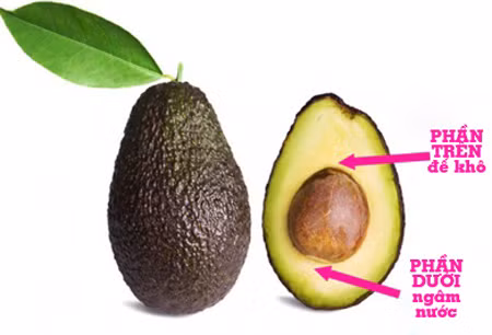 Trong cay canh trong nha tu hat bo di cuc de