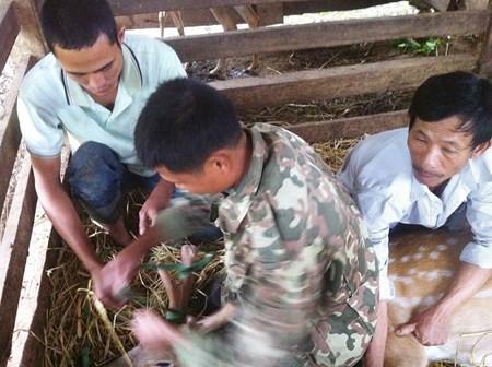 Tò mò nghe cat nhung huou dac san ỏ Huong Son