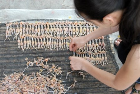 Trong số các loại khô có tiếng của miền Tây, khô nhái là quen thuộc hơn cả. Món đặc sản này có giá từ 330.000 -500.000 đồng/kg.