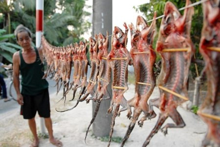 Cũng mang lại lợi nhuận không nhỏ cho người dân miền Tây, khô thằn lằn là loại đặc sản khô cực "độc", được dân nhậu các miền khi đến đây săn lùng mua về.