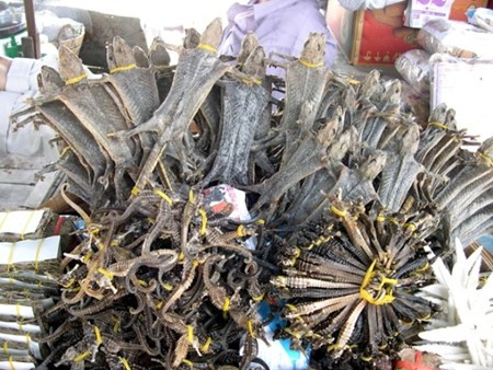 Khô tắc kè miền Tây là đặc sản mua về làm quà vì có nhiều công dụng cho sức khỏe, có thể dùng để ngâm rượu, hoặc chế biến thành các món nhậu mùi vị độc lạ. Giá khô tắc kè dao động từ 40.000 -60.000 đồng/con.