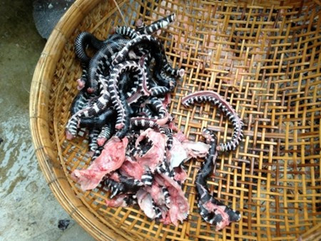 Từ lâu, khô rắn là món đặc sản nổi tiếng của miền Tây. Các lò chế biến khô rắn ở An Giang nức tiếng khắp các vùng vì chế biến khô rắn ngon, thu lời "khủng". Giá mỗi kg khô rắn dao động từ 300.000 - 350.000 đồng.