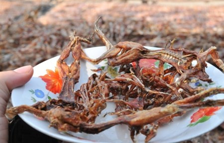 Vì sơ chế khá công phu, công phơi, tẩm nên khô nhái có giá khá đắt. Bình quân cứ 4 kg nhái tươi sẽ cho một kg khô.