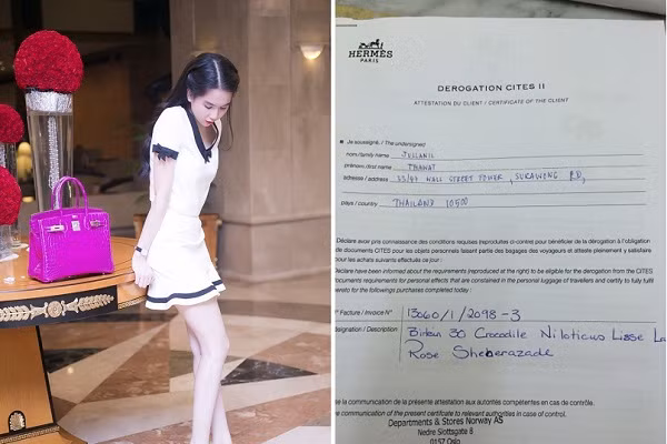 Chiếc túi Birkin trị giá gần 1,5 tỷ đồng của Ngọc Trinh.