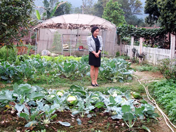 Nữ ca sĩ Mỹ Linh cũng dành một khoảng đất rộng lớn trong khuôn viên biệt thự ở Sóc Sơn (Hà Nội) để tự trồng rau sạch.