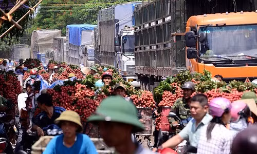 Cảnh ùn tác, chen chúc ỏ cho vai thieu lon nhat Viet Nam