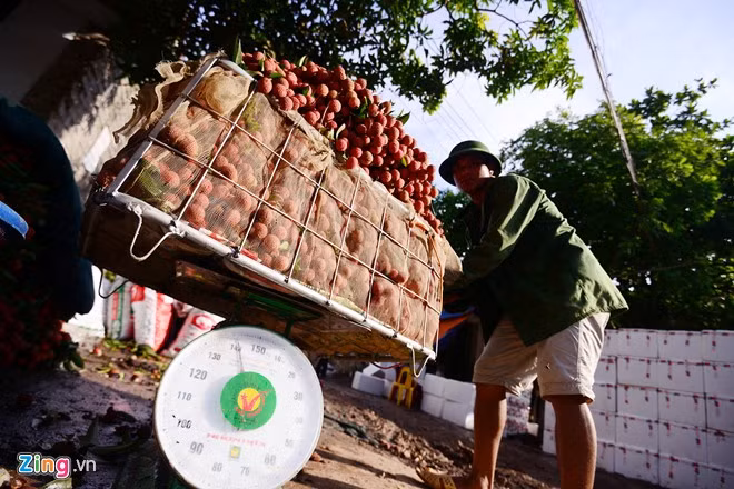 Anh Thành chuyên bốc vác thuê kiếm được 300.000 đồng một ngày. "Một năm chỉ có một lần, nên ai cũng cố gắng làm việc để thêm thu nhập", anh nói.