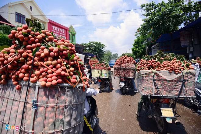 Cảnh buôn bán nhộn nhịp diễn ra tại các ngã ba Chũ, ngã ba Kim từ sáng sớm đến đầu giờ chiều. Mỗi xe chở sọt vải nặng từ 150 - 200 kg.