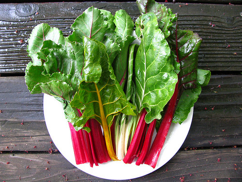 Theo chị Hoàng Lan (chủ cửa hàng hạt giống trên đường Kim Giang- Hà Nội): “Hạt giống cải cầu vồng được bán trên thị trường chủ yếu nhập của Thụy Sỹ hoặc Mỹ. Giống rau này rất dễ trồng, chỉ cần cung cấp đủ nước thì dù mùa đông hay mùa hè cũng đều trồng được”.