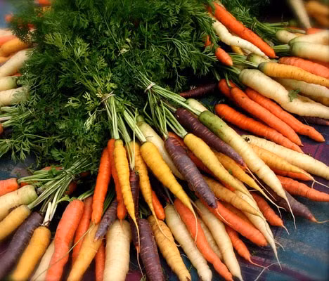 Trong số các loại rau, củ màu sắc lại dễ trồng, cà rốt cầu vồng (nhiều màu lạ mắt như màu đen, tím, vàng) có thể là gợi ý cho những người mê làm vườn.