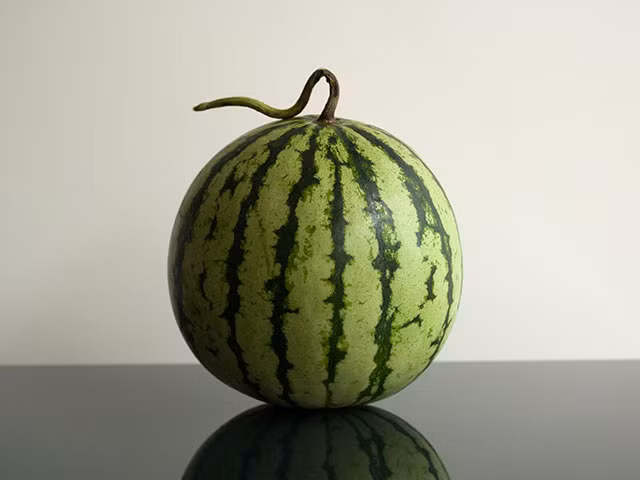 Mỗi trái dưa nặng khoảng 2 - 5kg. Lớp vỏ ngoài của giống dưa này giống với các loại dưa thường thấy nhưng vỏ rất dễ nứt, nhất là trong lúc vận chuyển.