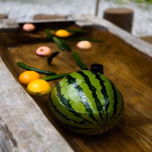 Thu hoạch dưa hấu khi thấy phần dây ở đầu quả dưa chuyển dần sang màu kem, dây có độ dai nhất định. Không nên chờ khi dây bị mềm, đứt mới thu hoạch dưa. Rửa sạch dưa, bảo quản trong tủ lạnh để giữ trái tươi lâu.