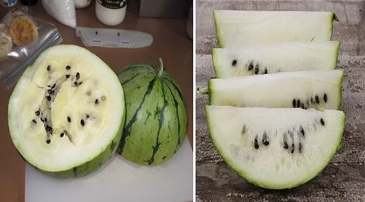 Phải chờ đơn hàng 5 ngày song chị Thùy Anh (một khách hàng, nhà ở khu Đền Lừ, Hà Nội) mới có được gói hạt giống. Chị chia sẻ: "Thấy bạn bè kháo nhau mua, tôi cũng tìm mua nhưng không ngờ giá đắt mà hạt giống dưa vẫn bán khá chạy. Ít nơi bán nên phải chịu khó đợi mới mua được. Tôi mua 20 hạt cho cả bạn, về trồng thử xem sao".