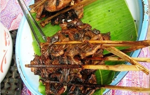 Hai loại dơi là dơi sen và dơi quạ được dân miền Tây bắt rất nhiều vào mùa trái cây chín để chế biến thành các món ăn. Người miền Tây cho rằng bắt dơi vào mùa hoa quả thì dơi sẽ mập.