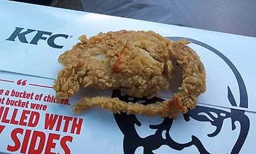 Chuọt rán nguyen con trong của hàng gà rán KFC