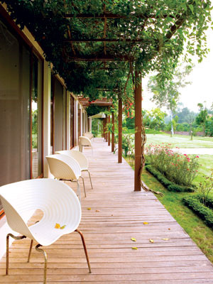 Nha huong Tay mat me nho “chieu” chong nong chuan-Hinh-5