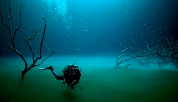 Dòng sông ở dưới đại dương. Nghe có vẻ cực kỳ phi lý nhưng thực sự nó có thật, nó chính là dòng sông Cenote Angelita ở bán đảo Yucatan, Mexico. Dòng sông dưới nước đặc biệt này có "sương mù" giăng tỏa, nước mặn như nước biển và quang cảnh tuyệt đẹp.