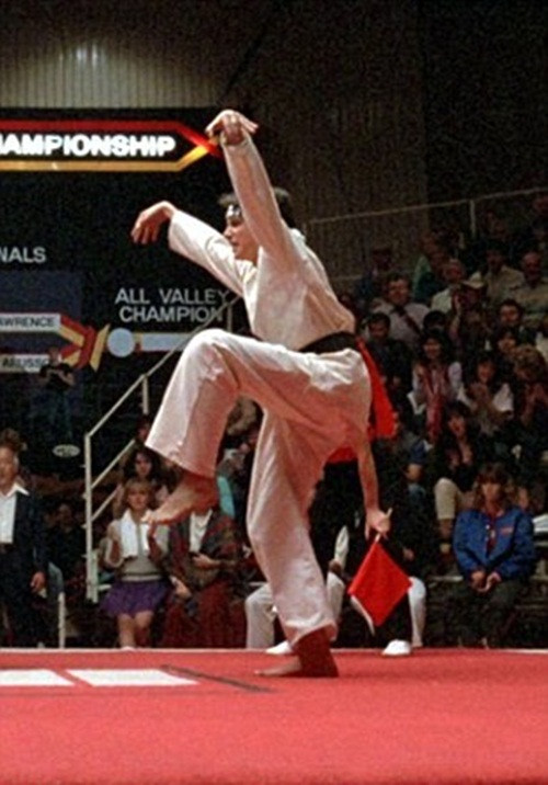 Tư thế của con ếch trông chẳng khác nào ngôi sao điện ảnh Ralph Macchio trong bộ phim mang tính võ biểu tượng "The Karate Kid" năm 1984.