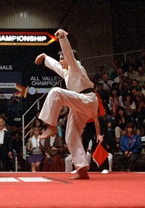 Tư thế của con ếch trông chẳng khác nào ngôi sao điện ảnh Ralph Macchio trong bộ phim mang tính võ biểu tượng "The Karate Kid" năm 1984.