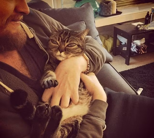 Thư giãn trong vòng tay của chủ nhân.