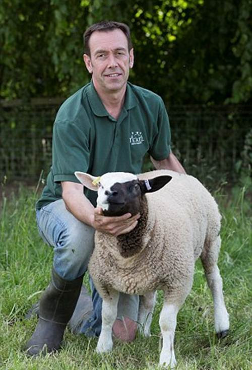 Ông Paul, chủ nhân của Phantom chia sẻ rằng ông đã bị choáng váng khi chú cừu được sinh ra với khuôn mặt nửa đen nửa trắng. Khuôn mặt kỳ lạ khiến ông liên tưởng ngay lập tức đến nhân vật Phantom và ông đã quyết định gọi chú cừu bằng biệt danh đó.