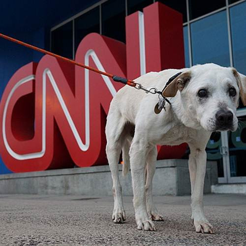 "Cậu ấy vẫn chưa muốn từ bỏ, bên trong cậu ấy vẫn còn năng lượng", Thomas chia sẻ.