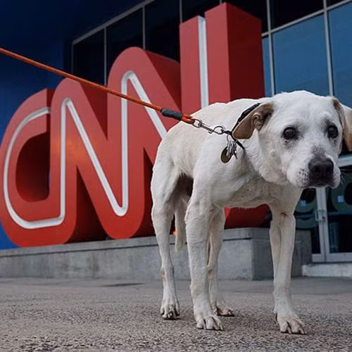 "Cậu ấy vẫn chưa muốn từ bỏ, bên trong cậu ấy vẫn còn năng lượng", Thomas chia sẻ.