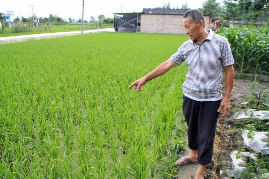 Khu vực tìm thấy cua móng ngựa và tôm cổ tích.