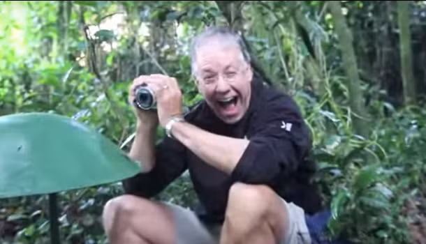 Sau khi tiếp đón John một cách rất đáng yêu, gia đình khỉ đột rời đi để lại John đang cực kỳ phấn khích, ông hét lên vào máy quay: "Tôi là một con khỉ đột!"