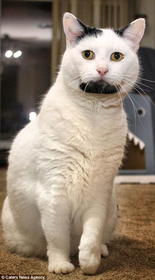 Gary được chủ nhân của mình, Charlene Dahilig phát hiện khi đang đi lang thang ở sân sau lúc mới được ba tuần tuổi.