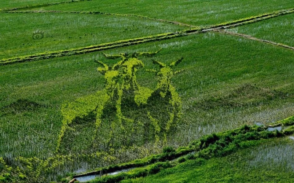 Xem thêm một số bức tranh đẹp đáng kinh ngạc khác: