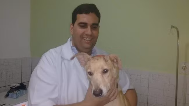 Những vết thương trên đầu bắt đầu kéo da non sau những lần ghé thăm bệnh viên thú y.