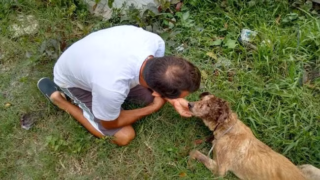 Wilson tìm thấy chú chó vô danh với chiếc bụng lép kẹp, thân thể chỉ còn da bọc xương và hầu như không thể cử động với chiếc đầu bị đánh dập nát, bê bết máu khô, đang thoi thóp nằm chờ chết.