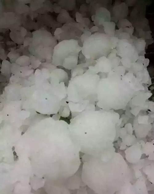 Mưa đá to, dày đặc khiến nhiều người khiếp đảm ở Liêu Ninh, Trung Quốc.