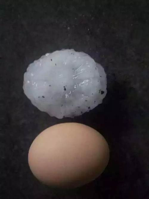 Toàn bộ những chiếc xe ô tô đậu ở bên ngoài, cửa kính, mái nhà, cây cối, đồ dùng... khi hứng chịu cơn thịnh nộ của thiên nhiên này đều có chung số phận là hư hỏng nặng hoặc hư hỏng hoàn toàn.